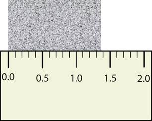 Data Test Chapter 2 V2 10.22 - ProProfs Quiz